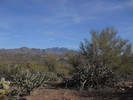 photo thumbnail #4