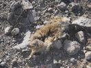 photo thumbnail #10