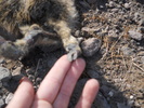 photo thumbnail #11