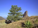photo thumbnail #4