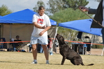 photo thumbnail #5