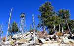 photo thumbnail #8