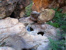 photo thumbnail #13