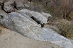 photo thumbnail #7