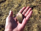 photo thumbnail #1
