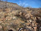 photo thumbnail #10