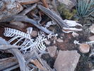 photo thumbnail #5