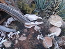 photo thumbnail #6
