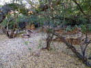 photo thumbnail #15