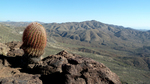 photo thumbnail #4
