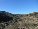 photo thumbnail #1
