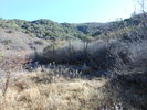 photo thumbnail #9