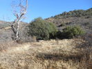 photo thumbnail #10