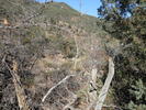 photo thumbnail #13