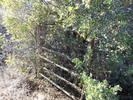 photo thumbnail #14