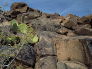photo thumbnail #3