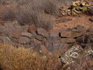 photo thumbnail #7