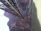photo thumbnail #13