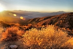 photo thumbnail #1