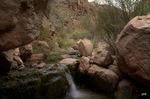 photo thumbnail #8