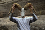 photo thumbnail #11