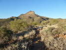 photo thumbnail #3