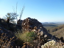 photo thumbnail #6