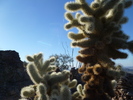 photo thumbnail #12