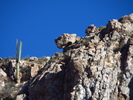 photo thumbnail #8