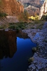 photo thumbnail #10