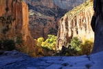 photo thumbnail #12