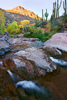 photo thumbnail #6