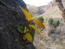 photo thumbnail #5