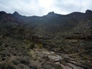 photo thumbnail #12