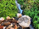 photo thumbnail #3