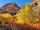 photo thumbnail #10