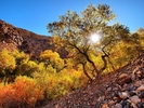 photo thumbnail #11