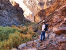 photo thumbnail #12