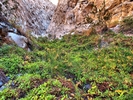 photo thumbnail #13