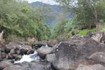 photo thumbnail #14