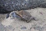 photo thumbnail #15
