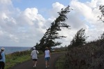 photo thumbnail #10