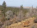 photo thumbnail #6