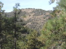 photo thumbnail #10