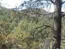 photo thumbnail #13
