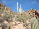 photo thumbnail #3