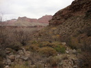 photo thumbnail #15