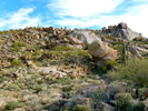 photo thumbnail #3