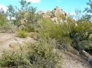 photo thumbnail #6