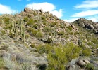photo thumbnail #7